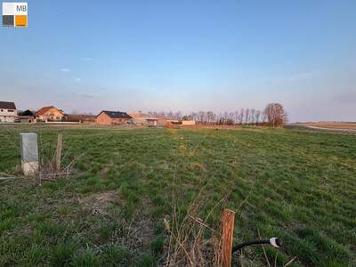 Grundstück kaufen in 2464 Arbesthal