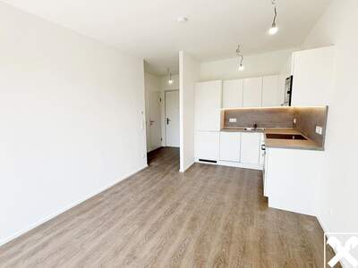 Wohnung mit Balkon mieten in 4020 Linz (Bild 4)