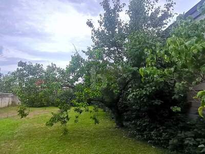 Einfamilienhaus kaufen in 7091 Breitenbrunn (Bild 5)