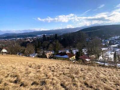 Grundstück kaufen in 2630 Pottschach