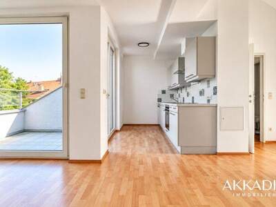 Terrassenwohnung mieten in 1130 Wien (Bild 1)