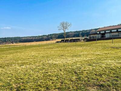 Grundstück kaufen in 5231 Schalchen