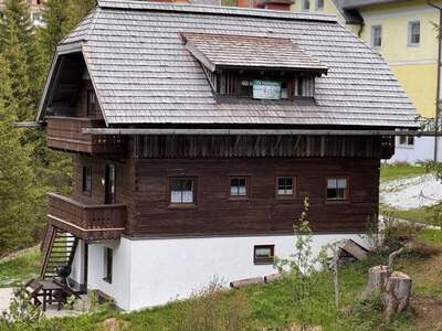 Anlageobjekt kaufen in 8953 Planneralm (Bild 5)