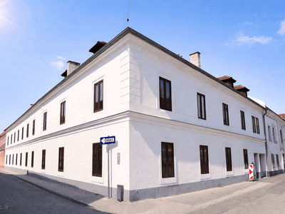 Anlageobjekt kaufen in 2700 Wiener Neustadt