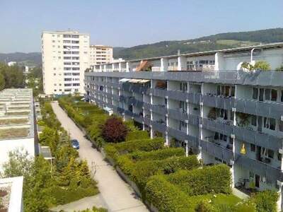 Terrassenwohnung mieten in 4040 Linz (Bild 1)