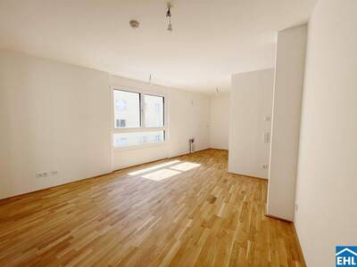 Wohnung kaufen in 1100 Wien