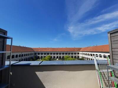 Wohnung mieten in 7100 Neusiedl (Bild 5)