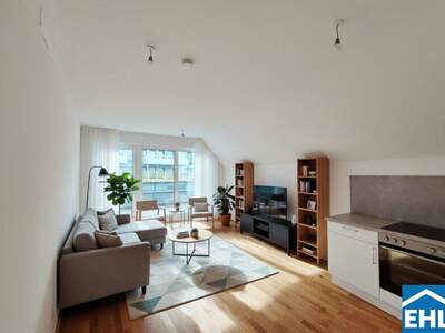 Terrassenwohnung mieten in 1110 Wien (Bild 1)