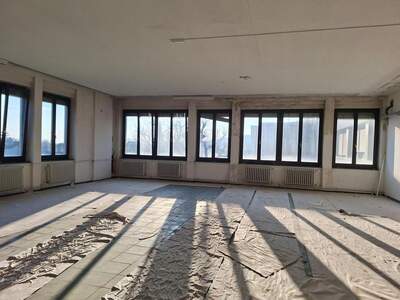 Gewerbeobjekt mieten in 2340 Mödling (Bild 4)