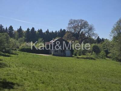 Einfamilienhaus kaufen in 8410 Wildon (Bild 1)