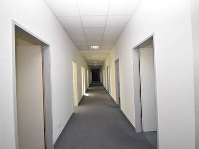 Büro / Praxis mieten in 1230 Wien (Bild 5)