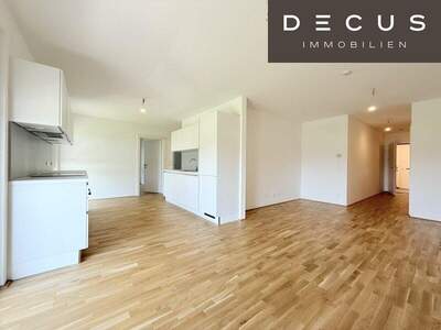 Terrassenwohnung mieten in 1100 Wien (Bild 2)