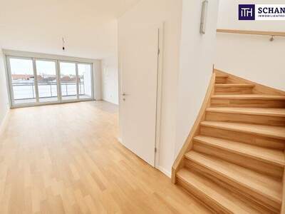 Terrassenwohnung kaufen in 1170 Wien (Bild 1)