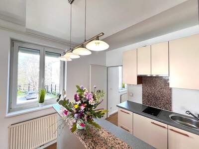 Terrassenwohnung mieten in 2340 Mödling