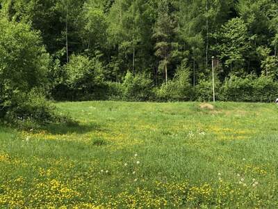 Grundstück kaufen in 8051 Graz (Bild 3)