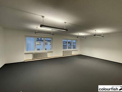 Gewerbeobjekt mieten in 1030 Wien (Bild 3)
