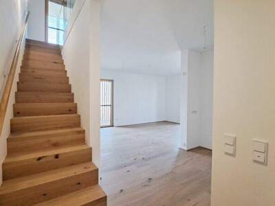 Terrassenwohnung kaufen in 7100 Neusiedl (Bild 1)
