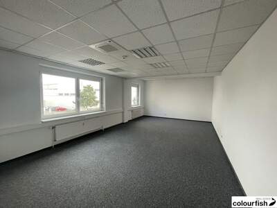 Gewerbeobjekt mieten in 1230 Wien (Bild 4)