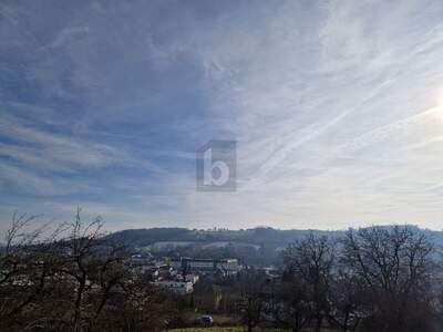 Land- und Forstwirtschaft kaufen in 4701 Bad Schallerbach