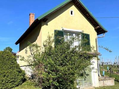 Haus kaufen in 7474 Eisenberg