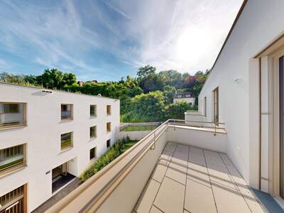 Anlageobjekt kaufen in 3500 Krems