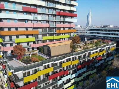 Terrassenwohnung mieten in 1200 Wien (Bild 5)