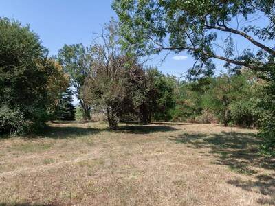 Grundstück kaufen in 2425 Nickelsdorf