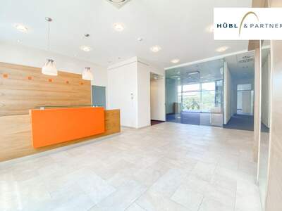 Gewerbeobjekt mieten in 1220 Wien (Bild 2)