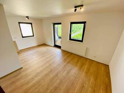 Wohnung provisionsfrei mieten in 4820 Bad Ischl