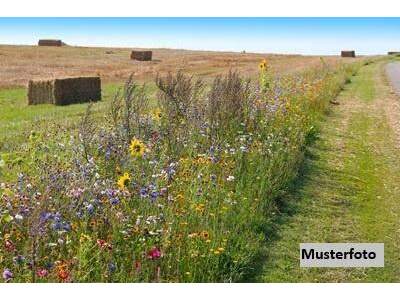 Gewerbeobjekt kaufen in 2722 Muthmannsdorf