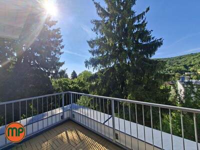 Haus kaufen in 3400 Klosterneuburg (Bild 3)