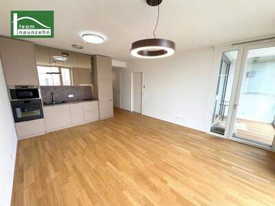 Terrassenwohnung mieten in 1220 Wien (Bild 1)