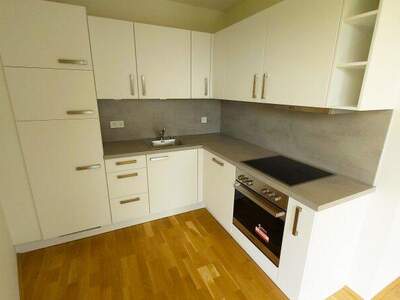 Terrassenwohnung mieten in 1100 Wien (Bild 1)