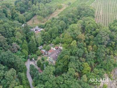 Haus kaufen in 1190 Wien