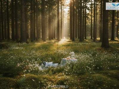 Grundstück kaufen in 6020 Innsbruck