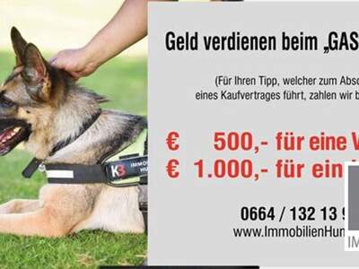 Gewerbeobjekt kaufen in 52210 Rovinj (Bild 3)