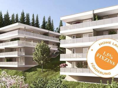 Anlageobjekt kaufen in 4840 Vöcklabruck