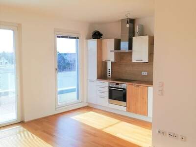 Wohnung mieten in 1220 Wien (Bild 2)