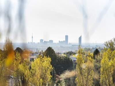 Terrassenwohnung kaufen in 1190 Wien (Bild 5)