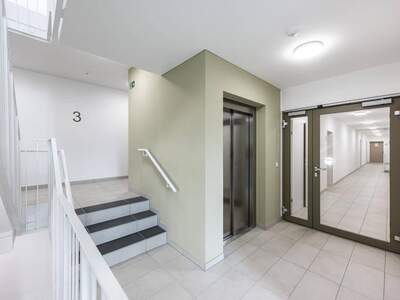 Anlageobjekt kaufen in 2540 Bad Vöslau