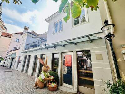 Haus kaufen in 2700 Wiener Neustadt