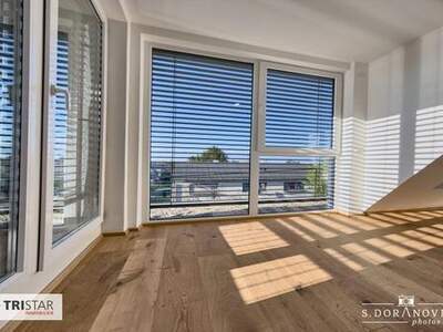 Wohnung mieten in 1220 Wien