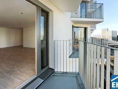 Terrassenwohnung mieten in 1100 Wien (Bild 4)