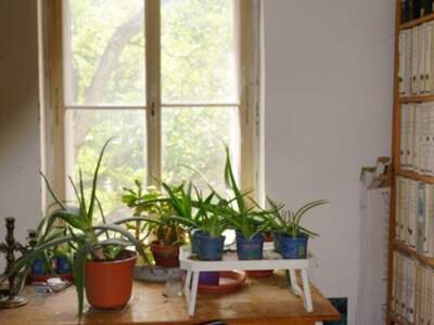 Altbauwohnung kaufen in 3002 Purkersdorf (Bild 4)