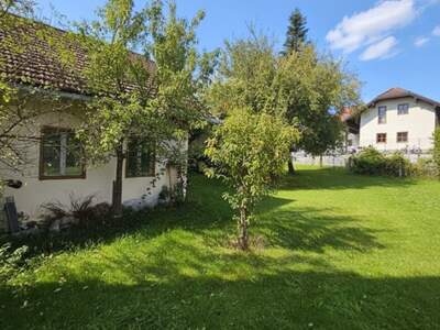 Gewerbeobjekt kaufen in 4720 Aspeth (Bild 3)