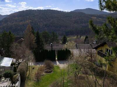 Grundstück kaufen in 2733 Grünbach (Bild 5)