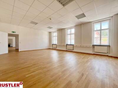 Gewerbeobjekt mieten in 2340 Mödling (Bild 2)