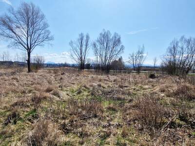 Grundstück kaufen in 4850 Timelkam (Bild 1)