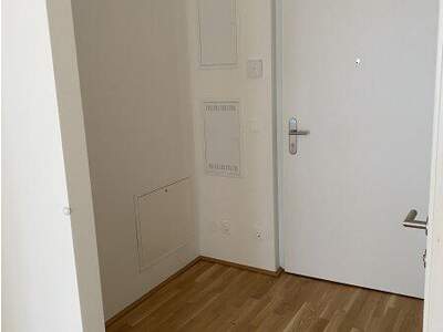 Terrassenwohnung mieten in 1220 Wien (Bild 1)