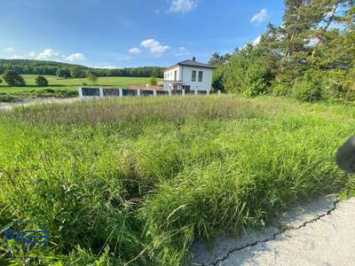 Grundstück kaufen in 2500 Siegenfeld